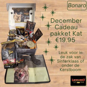 Bonaro leonardo december