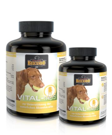 Produktneuvital tabs394x478