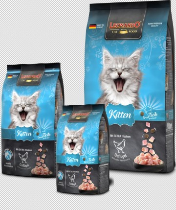 Rs4458bl kitten tf composing hpr