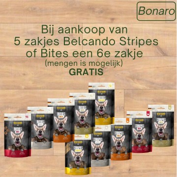 September bonaro belcando