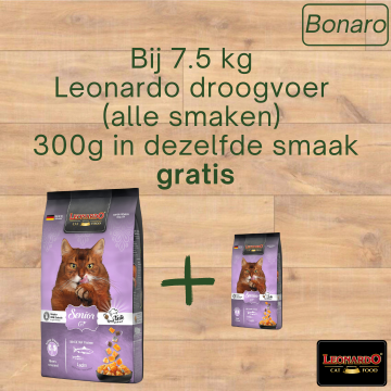 September bonaro leonardo
